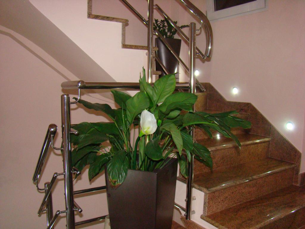 Apartments Ledic Krvavica Ngoại thất bức ảnh